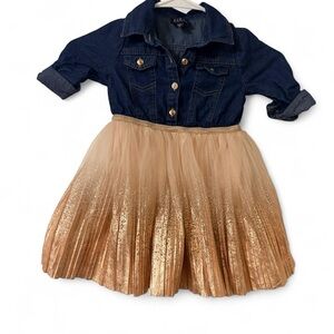 Denim dress with Pink Gold Tulle Skirt